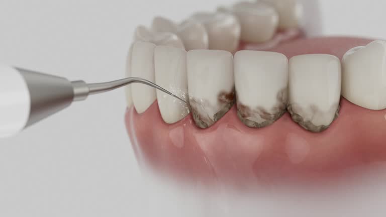 Reliable Dental contractor in Charleston, MS by Dentist Open Now